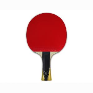 Купить Теннисная ракетка Gambler pure 7 nine ultra tack в Сланцах 